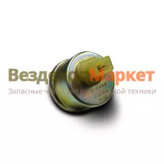 Датчик давл. масла ДД 10-07 МИ 12/24В Экран