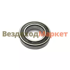 6009 2RS подшипник