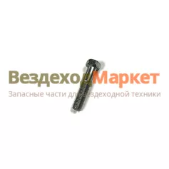 Болт М8х1,25х40/201464-П29 вентилятора ГАЗ 3307 (уп.20шт)