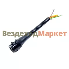 Разъем-розетка фоноря заднего СЦАЗ-2-6/ПВ126-Р-АС (ГАЗель;МАЗ;КАМАЗ) АНТЕЙ