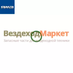 Кольцо уплотн. маслен. насоса 650.1002602/028-034-36 ФСИ (Автодизель)