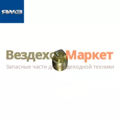 Пробка 316169-П29/К3/8 водяной трубы (Автодизель)