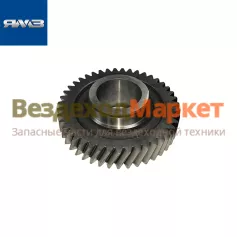 Шестерня 5-й перед. пром. вала 1509.1701053/z=43 (замена 239.1701053-10) (Автодизель)