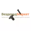 Клипса обивки салона и изоляции капота 31029-8402400/8402102 к-т из 10шт(Волга,Газель,Соболь,Волдай)