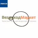 Кольцо уплотн. маслен. насоса 336.1704019 (Автодизель)